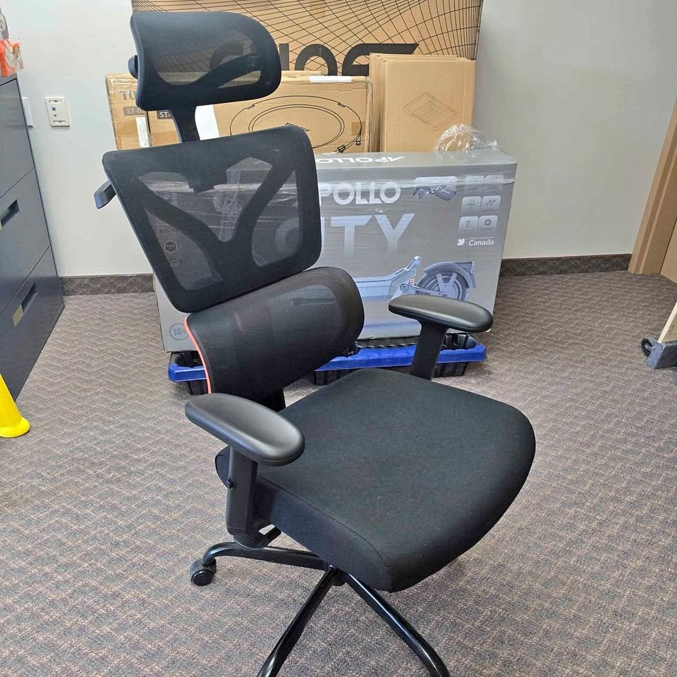 Ergonomic Office Chair with Mesh Back and Headrest